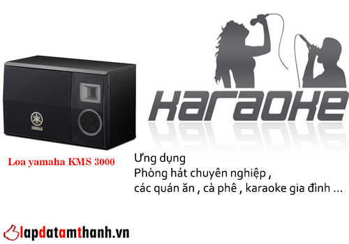 Loa karaoke yamaha KMS 3000